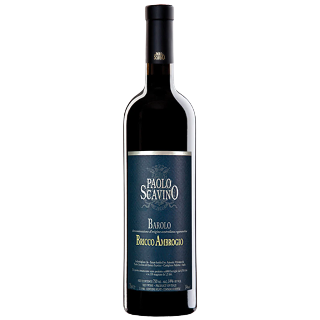 2019 Paolo Scavino Barolo Bricco Ambrogio DOCG