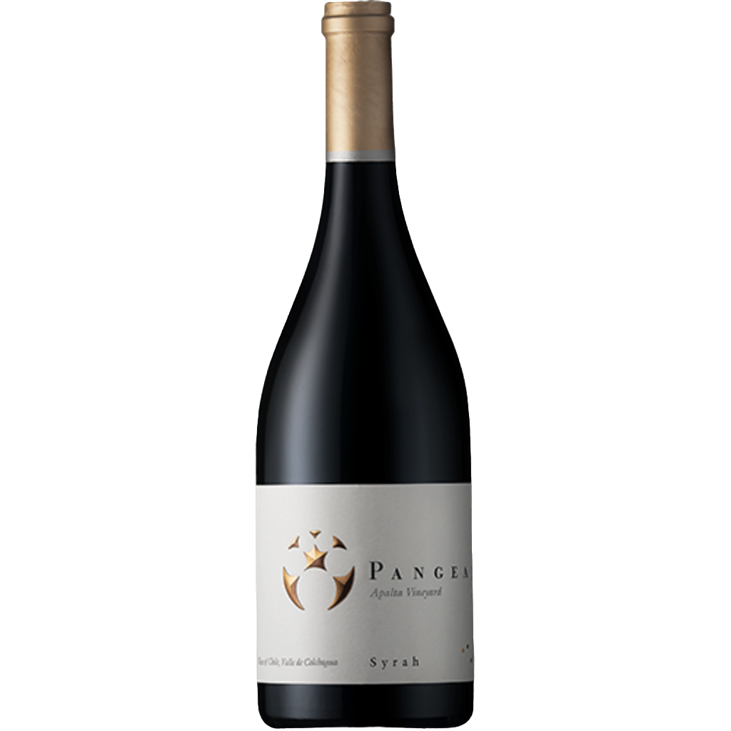 2017 Vina Ventisquero Pangea Syrah