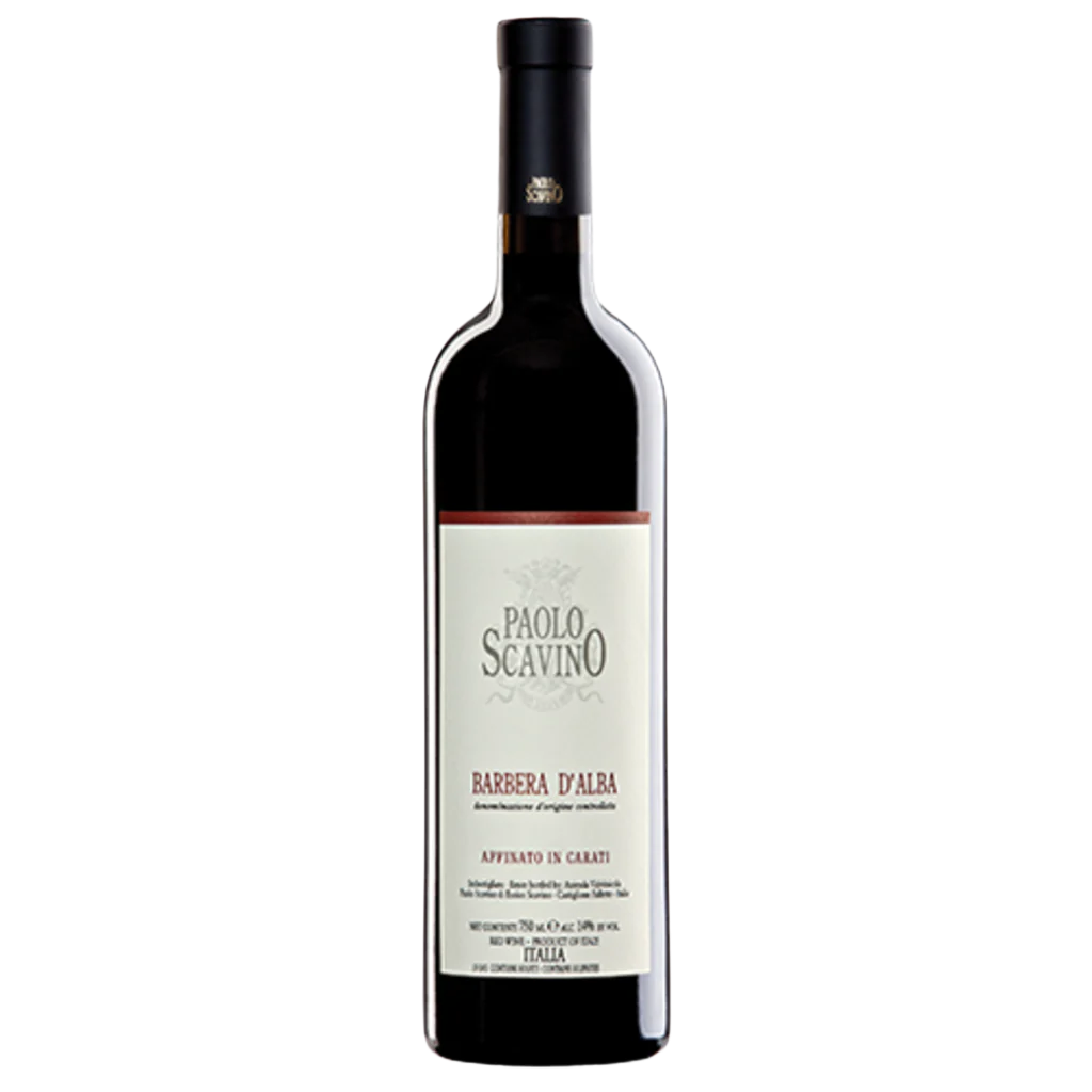 2022 Paolo Scavino Barbera d'Alba DOC