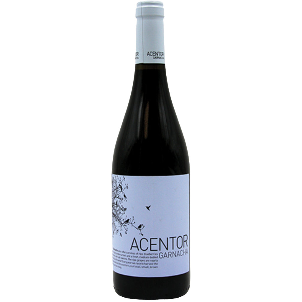 2016 Isaac Fernandez Seleccion Acentor